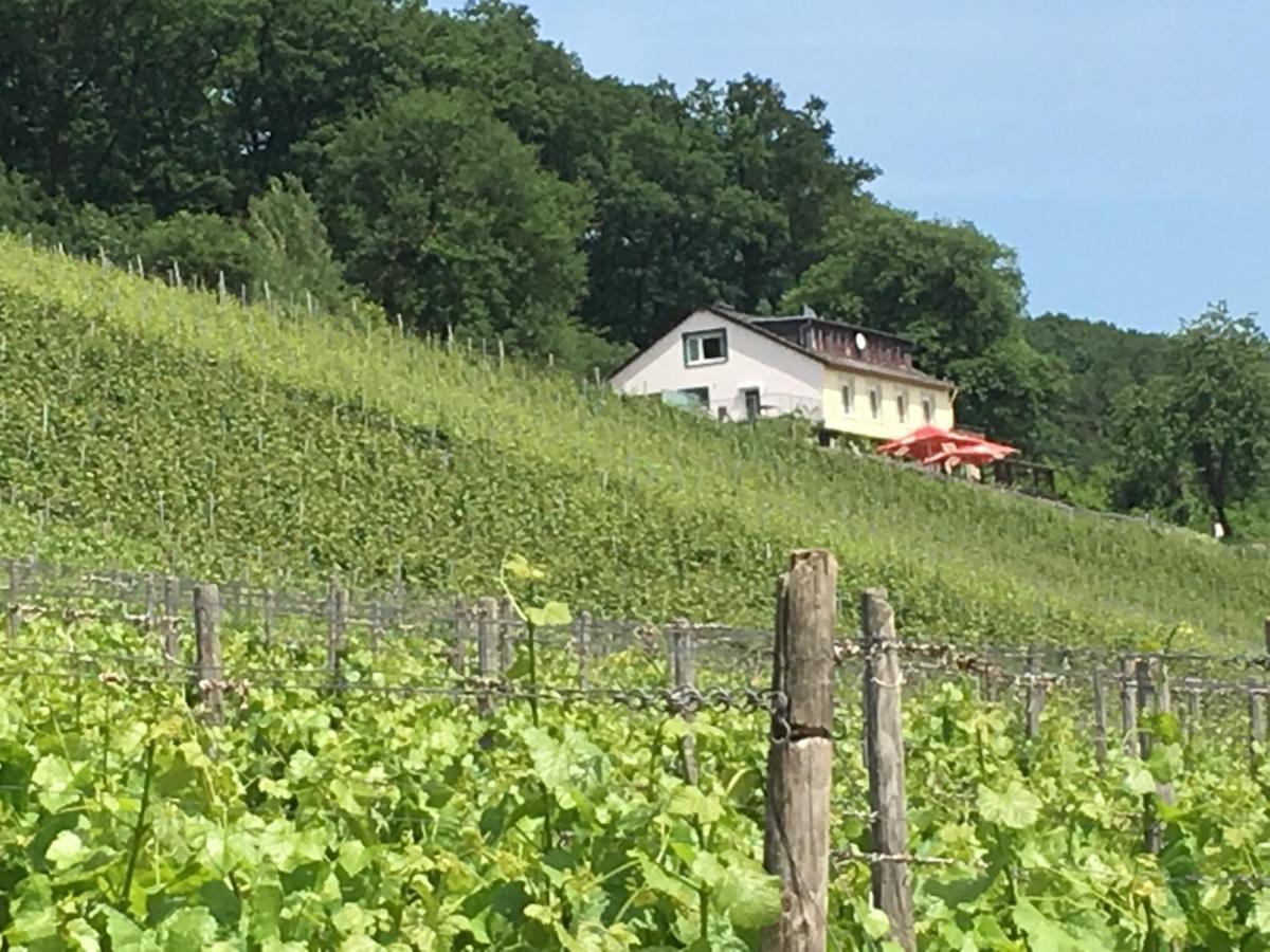 Das Rebenhaus Rüdesheim am Rhein Exteriör bild