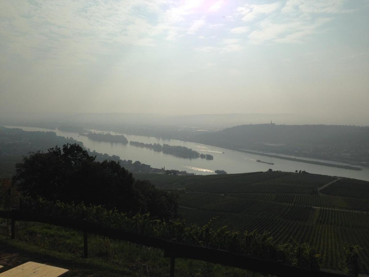 Das Rebenhaus Rüdesheim am Rhein Exteriör bild