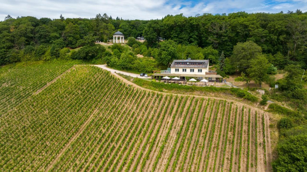 Das Rebenhaus Rüdesheim am Rhein Exteriör bild