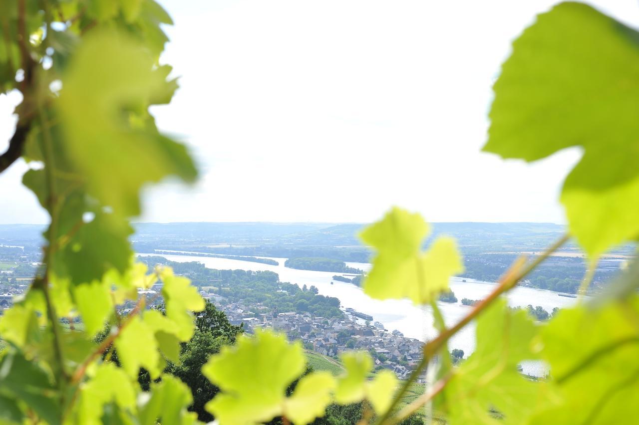 Das Rebenhaus Rüdesheim am Rhein Exteriör bild