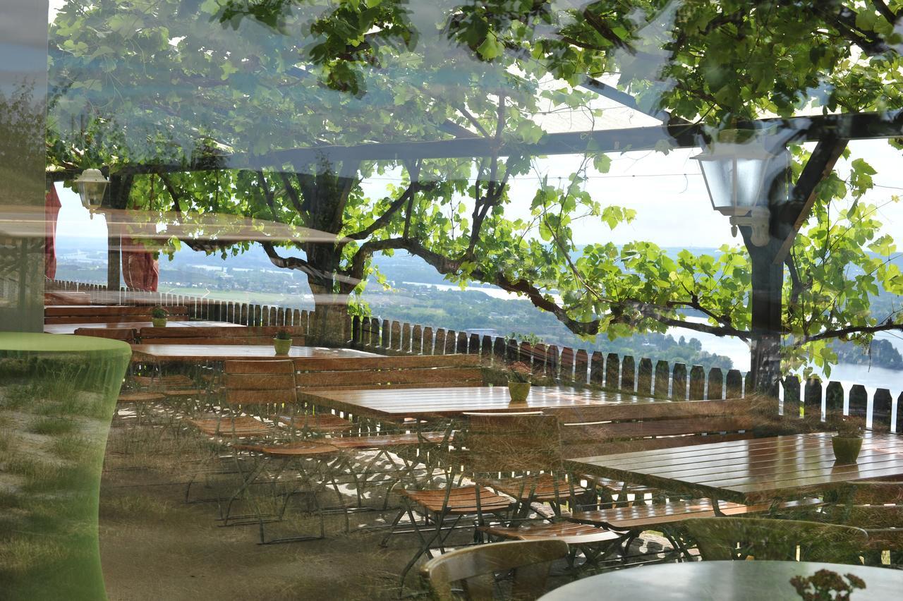 Das Rebenhaus Rüdesheim am Rhein Exteriör bild