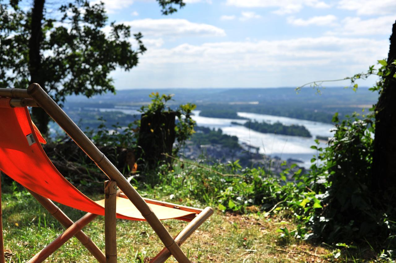 Das Rebenhaus Rüdesheim am Rhein Exteriör bild